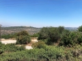 Fermes à vendre à Moshav Ramat Raziel Jerusalem.